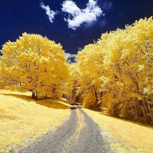 نمیبافم موی رویامو دیگه نه نه خالی کنین با یه گل جامو اگه رفتم